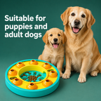 Fun Slow Feeder Puzzle Bowl for Smart Dogs
